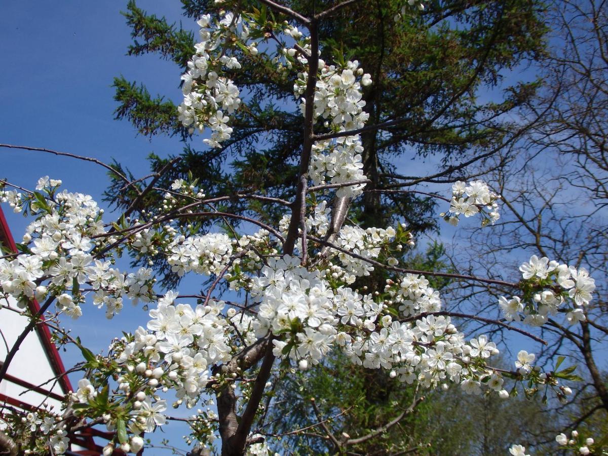 Krakowskie Mazury Gradzkie  Εξωτερικό φωτογραφία